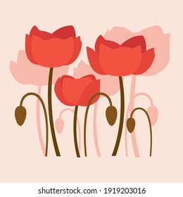 Illustration of poppy flowers with flat style