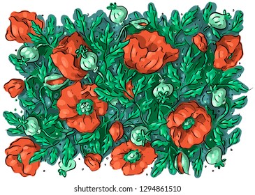 Illustration with poppy flowers and leaves