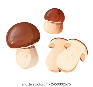 Illustration of porcini mushrooms, whole and sliced. Vector drawing of edible fungi. Cooking and gourmet food concept.