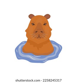 illustration portrait of a capybara sitting in the water.
