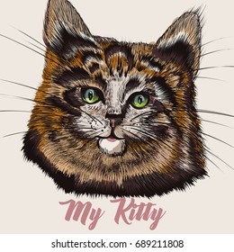Illustration with portrait of cute cat