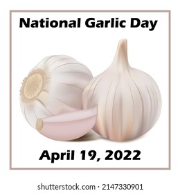 Illustration postcard National Garlic Day April 19
