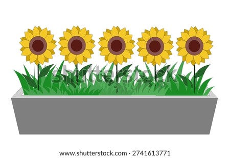 illustration of a pot containing several sunflowers