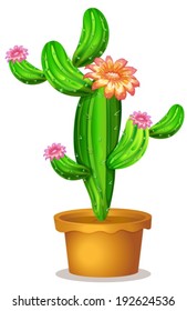 Illustration of a pot with a flowering cactus plant on a white background