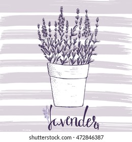 Illustration with a pot of lavender on a abstract background. Stock vector