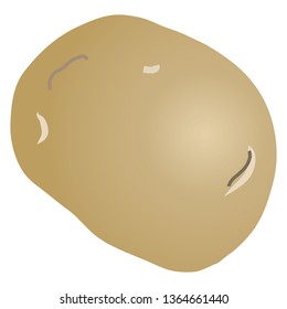 Illustration of the potato