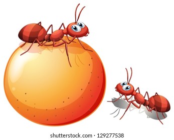 Illustration of a potato with ants on a white background