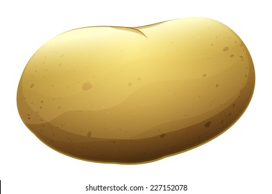 Illustration of a potato on a white background  