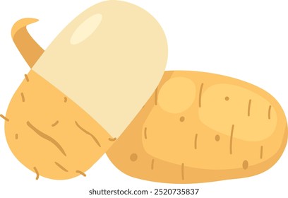 illustration of potatoes on a white background