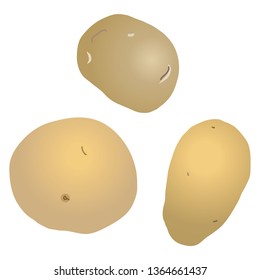 Illustration of the potatos