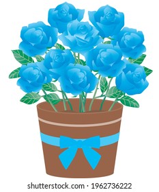 Illustration of the potted blue rose