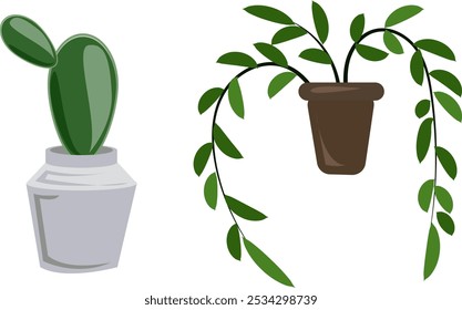 Illustration of Potted Cactus and Hanging Plant