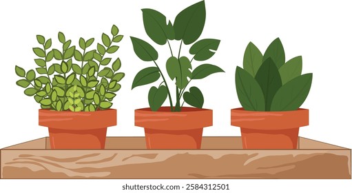 illustration of potted indoor plants, houseplants, plants, flowers, herbs, home, garden, vegetable garden, greenhouse