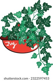 Illustration of a potted ivy plant, an air purifying plant.