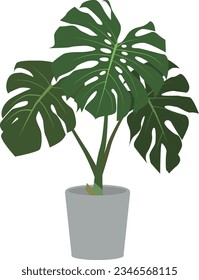 Illustration of Potted Monstera Houseplant