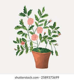 Illustration of a potted plant with green leaves and pink flowers. The plant, in a terracotta pot, features vibrant green leaves and delicate pink flowers. Vintage botanical illustration vector.