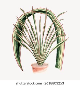 Illustration of a potted plant with long, slender green leaves. The plant's leaves are striped, adding a decorative touch. The potted plant is vibrant and artistic. Vintage botanical vector.