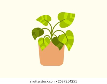 Illustration of an Potted Pothos Plant