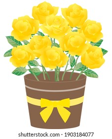 Illustration der gelben Rose