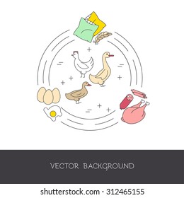 Illustration of poultry and agricultural products (meat, eggs, feathers). The concept of eco-products and eco-farm. Vector illustration.