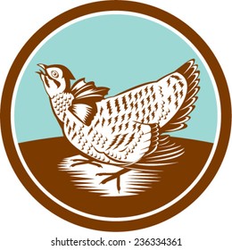 Illustration of a prairie chicken looking up set inside circle done in retro woodcut style on isolated background