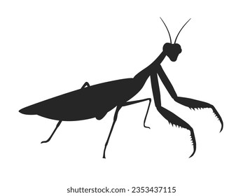 Illustration of praying mantis silhouette.