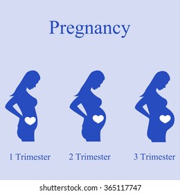 illustration of a pregnant woman, pregnant belly, pregnant lady