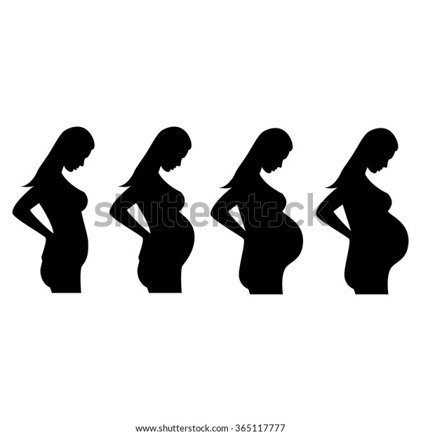 Illustration Pregnant Woman Pregnant Belly Pregnant Stock Vector Royalty Free 365117777 
