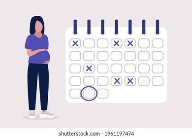 Illustration of pregnant woman. Pregnant calendar. Young woman planning dates on the calendar. Colorful flat vector illustration.