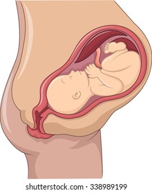 Illustration of Pregnant Woman and Her Fetus 