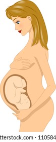 Illustration of a Pregnant Woman with the Scanned Image of a Fetus Inside Her Belly