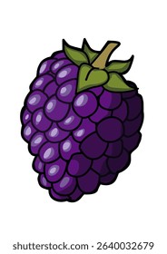 illustration of a pretty blackberry