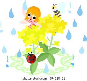 The illustration of pretty fairy and beautiful brassica