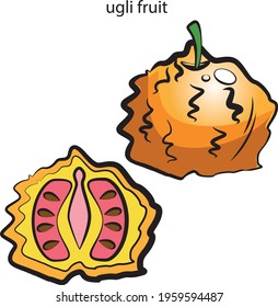 Illustration of a printed English alphabet card with the names of colored fruits and vegetables