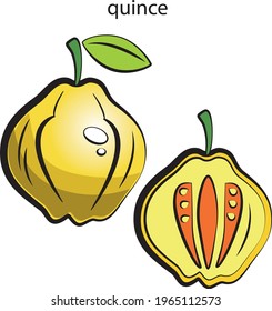 Illustration of a printed English alphabet card with the names of colored fruits