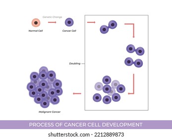 Illustration Process Cancer Cell Development Stock Vector (Royalty Free ...