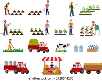 Illustration of the process of growing and harvesting crops. Equipment for agriculture. Vector set of agricultural vehicles and farm machines. Tractors, harvesters, combines.