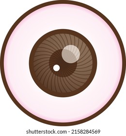 Illustration Of A Prosthetic Eye Seen From The Front