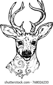 An illustration of a psychedelic deer. Silhouette of head and horns.