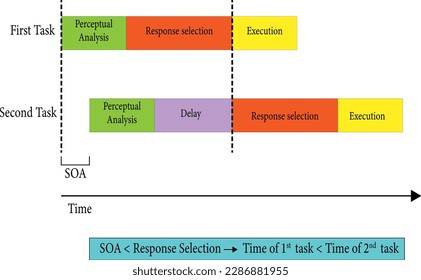 Illustration of The psychological refractory period timescale