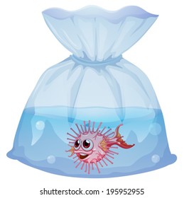 Illustration of a puffer fish inside the pouch on a white background