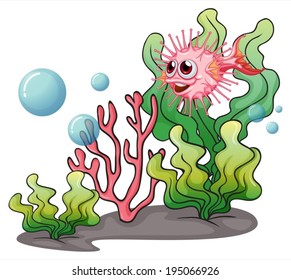 Illustration of a puffer fish near the seaweeds on a white background