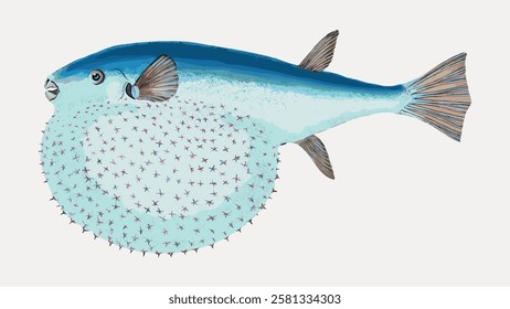 Illustration of a pufferfish with a round, spiky body and a blue tail. The pufferfish is shown in profile, highlighting its unique, inflated shape. Vintage fish illustration isolated on white, vector.