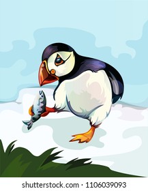 Illustration of a puffin bird
