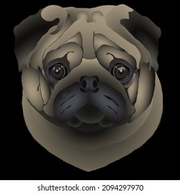 illustration of a pug dog head on a black background