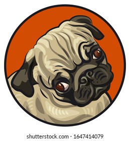 illustration of the pug dog puppy on the white background