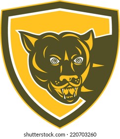 Illustration of a puma mountain lion head prowling set inside shield crest on isolated background done in retro style. 