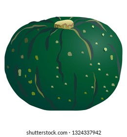 Illustration of the pumpkin
