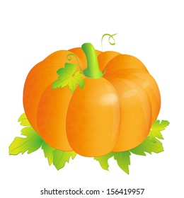 Illustration of pumpkin