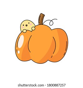 Illustration of pumpkin with chick